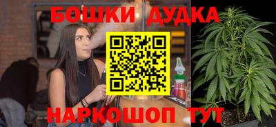 крисы Будённовск