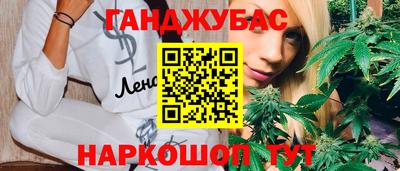 крисы Будённовск