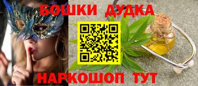 крисы Будённовск