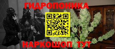 apvp Бузулук
