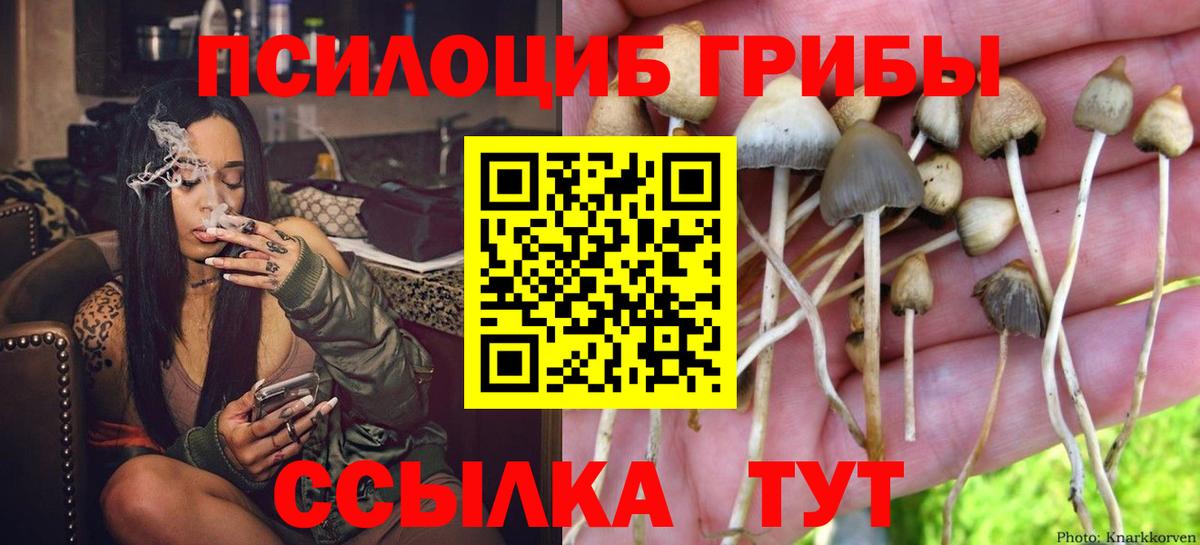 Нальчик  дарнет шоп  Вход с VPN  Галлюциногенные грибы прущие грибы 