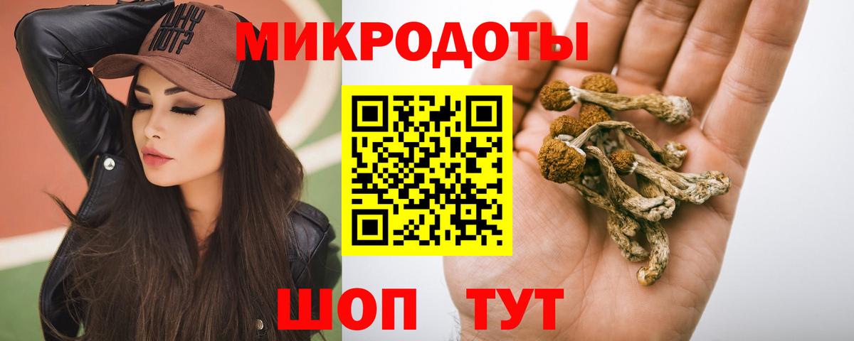 Галлюциногенные грибы MAGIC MUSHROOMS Нальчик